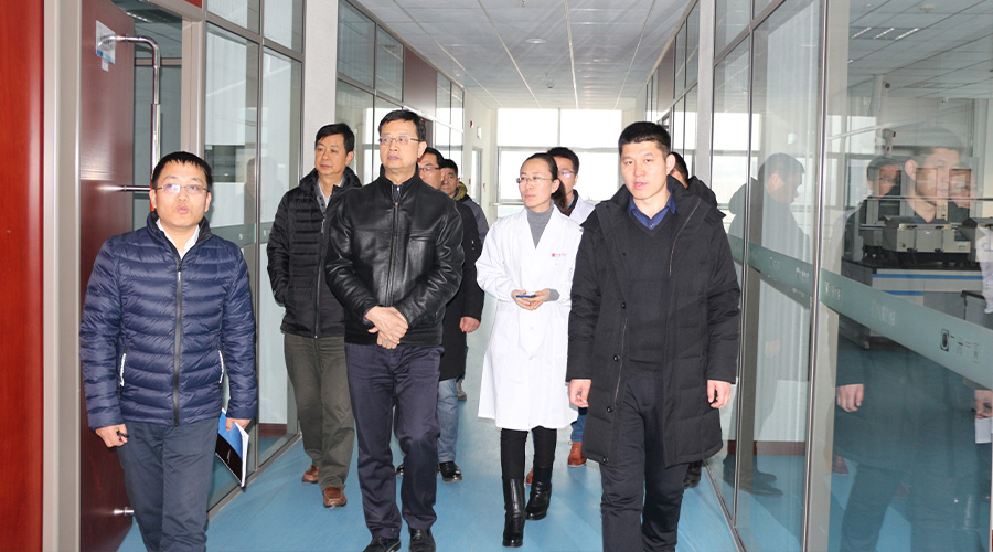 安徽省科技厅副厅长朱建基一行莅临安徽尊龙凯时ag旗舰厅制药有限公司检查指导工作